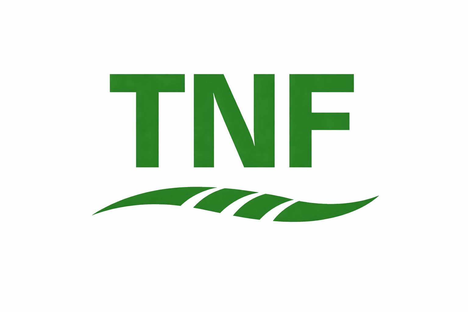 TNF Logo